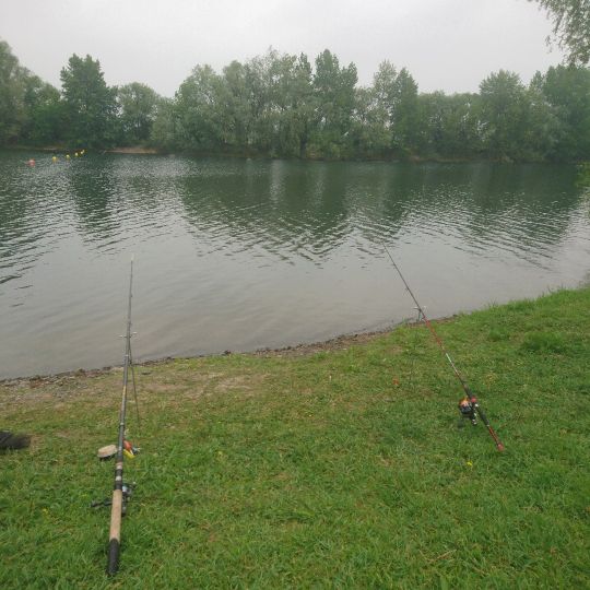 Hinterer Flürener Altrhein-1