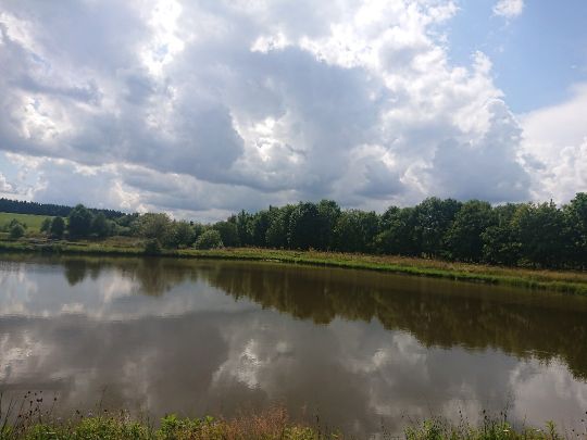 Frankenheimer Teiche-1