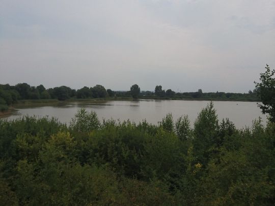 Auflandeteich Adenstedt-1