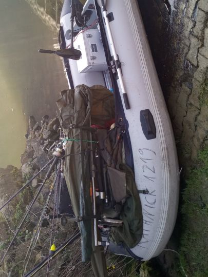 Neckar (Neckargerach)-1