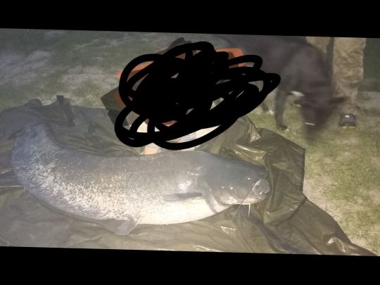 Neckar (Neckargerach)-3