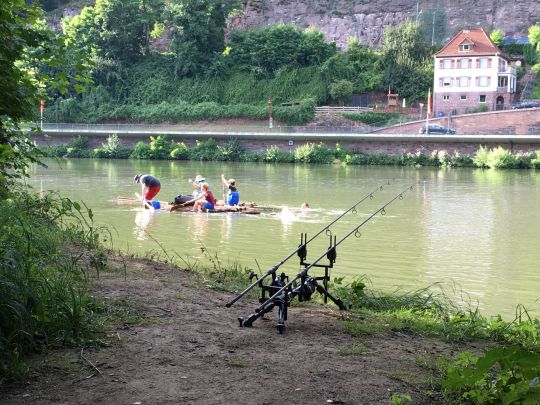 Neckar (Neckargerach)-2