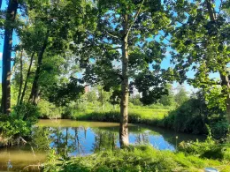 Gera (Mitterskirchen)