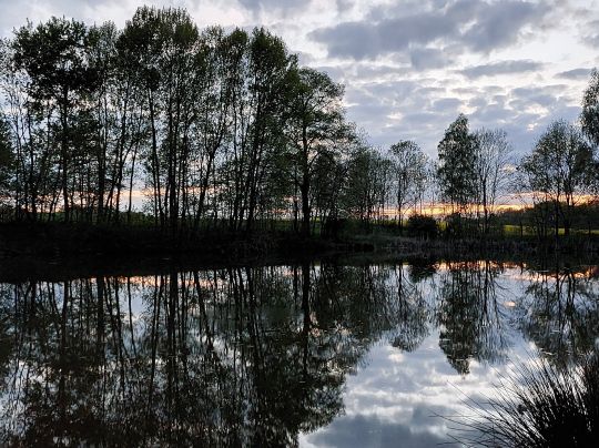 Klärteiche Biesig-2