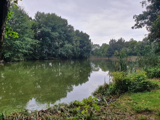 Klärteiche Biesig-3