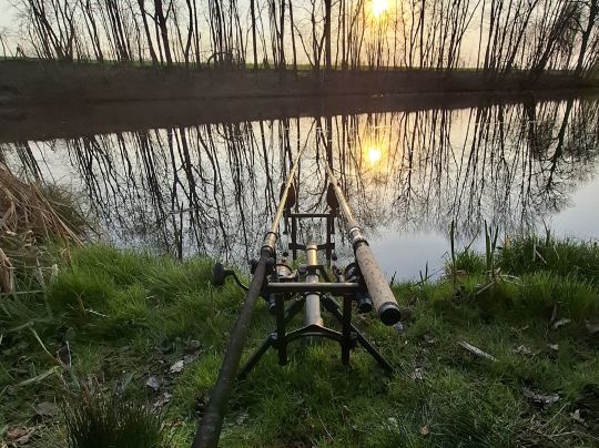 Klärteiche Biesig-4