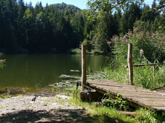 Loidlsee-2