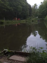 Forellenfarm Sasselbach