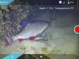 Haugsee (Burlafingen)-4