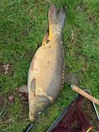 Inselteich (Clara-Zetkin-Park, Leipzig)-2