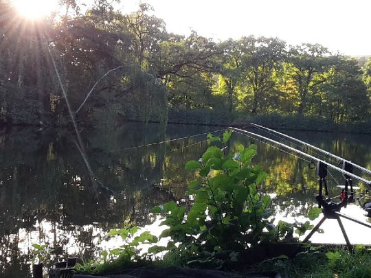 Hirschteich (Greiz)-1