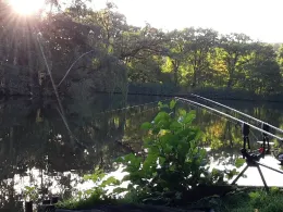 Hirschteich (Greiz)-1