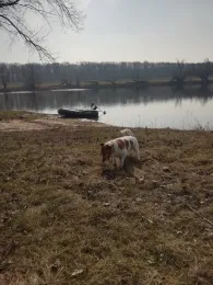 Steinhafen Pretzien-4