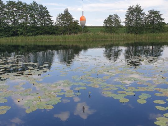 Tressower See-2