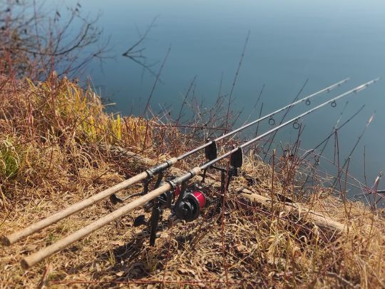 Bagersee Nord 2 (Münster)-1