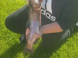 Bagersee Nord 2 (Münster)