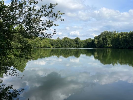 Schlichtenfelder See-2