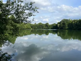 Schlichtenfelder See-2