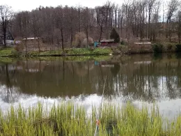 Schloßteich Pfaffroda