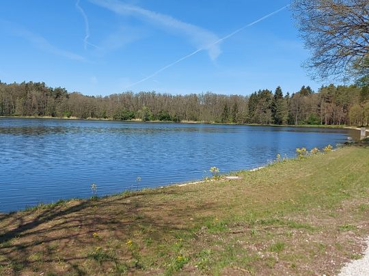 Großer Hofsee (Aisch)-1