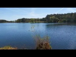 Großer Hofsee (Aisch)-2