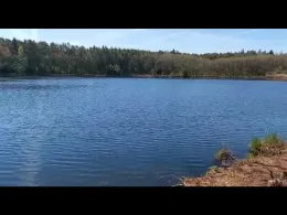 Großer Hofsee (Aisch)-3