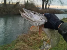 Kleine Laber (Perkam)