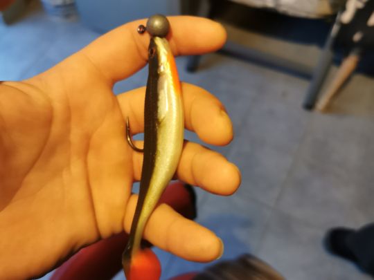 Kleine Laber (Perkam)-1