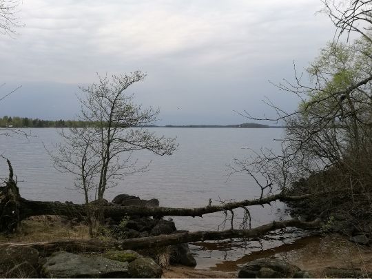 Möckeln (Karlskoga)-1