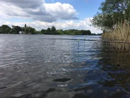 Weisser See (Potsdam)-4