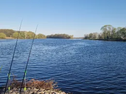 Weisser See (Potsdam)-2