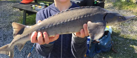 Angelteich Vierbuchermühle-3