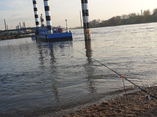 Rhein (Leverkusen)