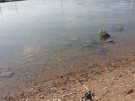 Rhein (Leverkusen)-4