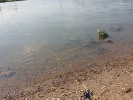 Rhein (Leverkusen)-4