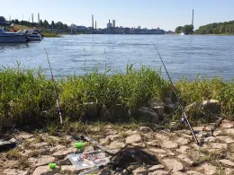 Rhein (Leverkusen)-2