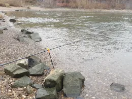 Rhein (Leverkusen)-1