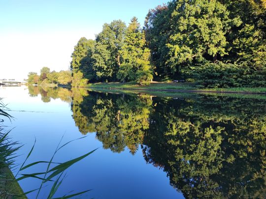 Trave (Lübeck-Moisling)-4