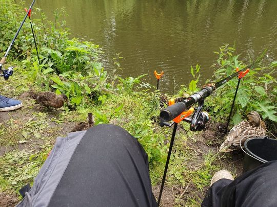 Trave (Lübeck-Moisling)-1