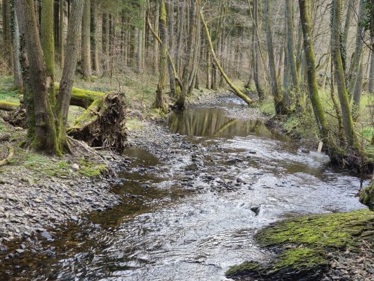 Vichtbach (Stolberg)