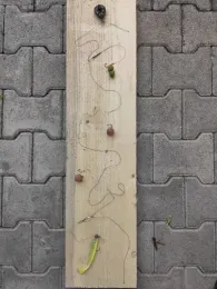 Bau l und ll (Hügelsheim)