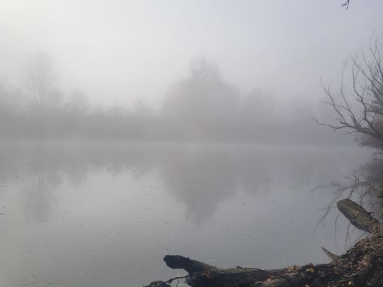 Bau l und ll (Hügelsheim)-1