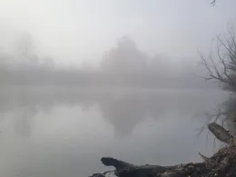 Bau l und ll (Hügelsheim)-1