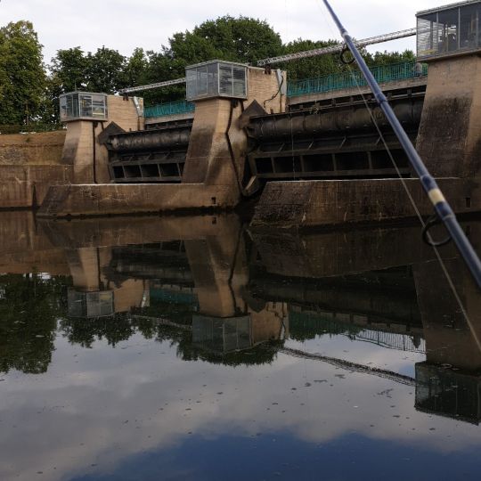 Main-Donau-Kanal (Bamberg)-3