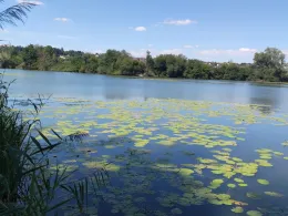 Daferner See-3