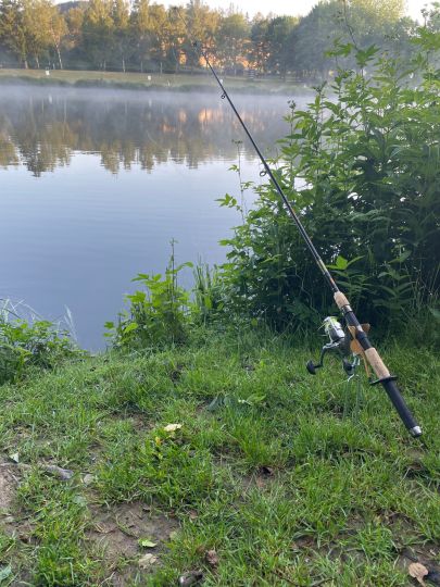 Hammerweiher (Dietzhölztal)-3