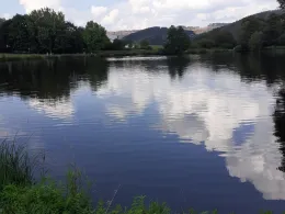 Hammerweiher (Dietzhölztal)-4