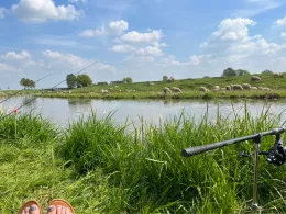 Hunte (Hunteburg-Ochsenmoor)