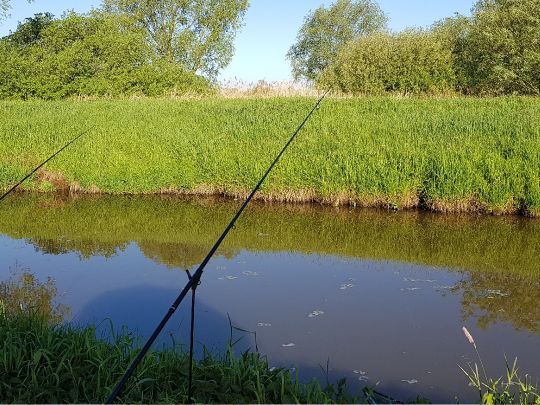 Hunte (Hunteburg-Ochsenmoor) angeln