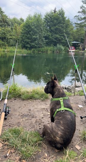 Stolpkanal (Rüdersdorf)-1